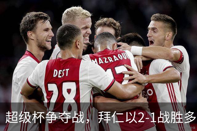 超级杯争夺战，拜仁以2-1战胜多特夺冠